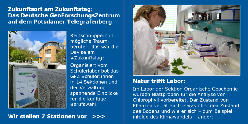 [Translate to English:] Links: Gebäude des GFZ. Rechts: Ein Mädchen präpariert grüne Blätter im Labor.