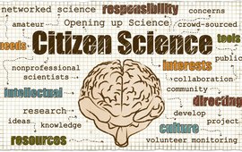 Citizen Science Schriftzug