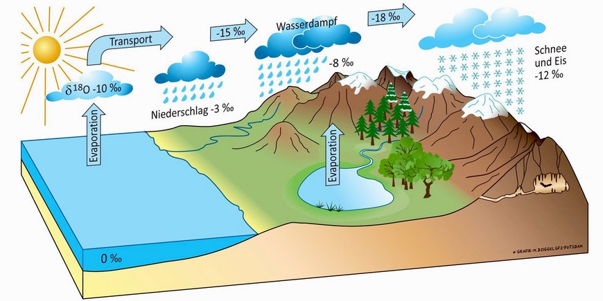 δ18O in the water cycle: from precipitation to the speleothems