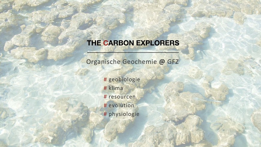 Beschreibung der Forschungsgruppe auf dem Hintergrund rezente Stromatolithen in Hamelin Pool, Australien