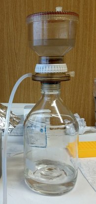 Filtration of formation water for microbiological analysis