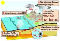 Abbildung 1: Der Eintrag von CO2 in die Atmosphäre (1) erwärmt das Klima, und dieses wärmere, feuchtere Klima (2) beschleunigt die chemische Verwitterung von Silikatgesteinen an Land; Reaktionen, die CO2 absaugen und in gelöstes Bicarbonation, HCO3-, umwandeln. Dieser gelöste Kohlenstoff wird dann zusammen mit Kationen (wie Ca2+) und Kieselsäure durch Flüsse in die Ozeane transportiert (3), wo ihn kalkbildende Meeresorganismen zur Produktion von CaCO3 verwenden (4). Die letztendliche Ablagerung dieses CaCO3 auf dem Meeresboden hält den Kohlenstoff in den Sedimenten zurück (5), wodurch CO2 aus dem System Ozean-Atmosphäre entfernt wird. Dies kühlt das Klima ab, verlangsamt die Verwitterungsraten erneut und konvergiert wieder zu zu einem stabilen atmosphärischen CO2-Niveau.