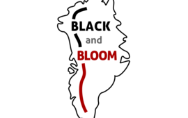 Black and Bloom logo