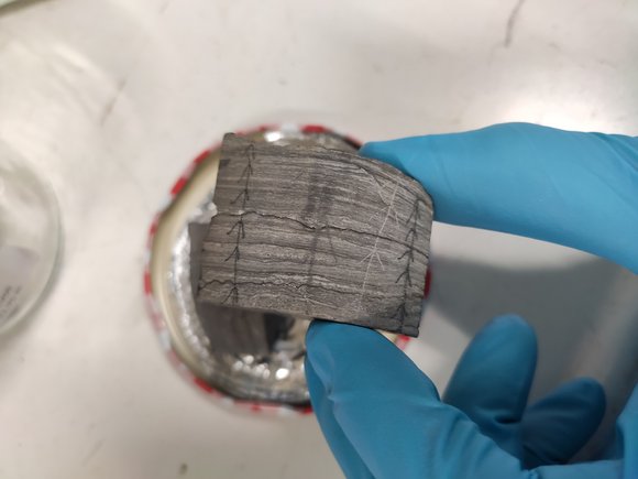 A hand in a blue protective glove holds an approximately 5x5 centimetre piece of a sediment core over a glass dish. You can see the different sediment layers in different shades of grey.