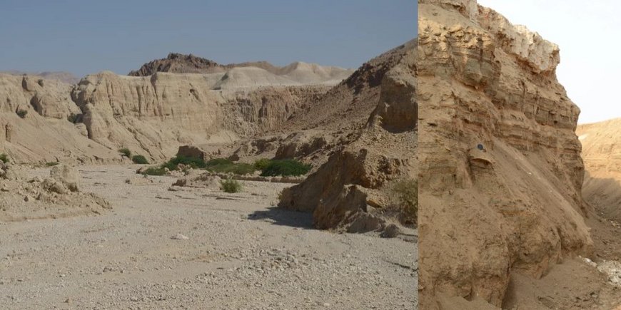 Holocene sequence of laminated lacustrine sediment at the eastern Dead Sea margin (Wadi Ibn Hammad, Jordan).
