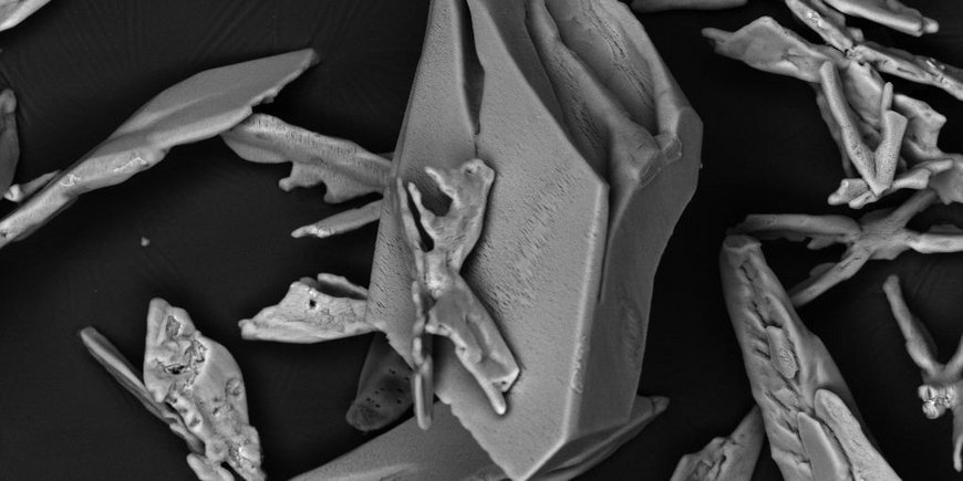 Struvite crystals with different morphologies under the scanning electron microscope (BSE image)