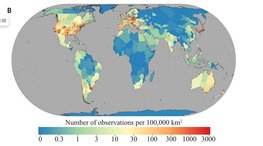 Weltkarte, Länder eingefärbt je nach Anzahl der Beobachtungen, wenig Beobachtungen auf dem Afrikanischen Kontinent und im Norden von Asien, viele Beobachtungen in Europa und im Süden der USA