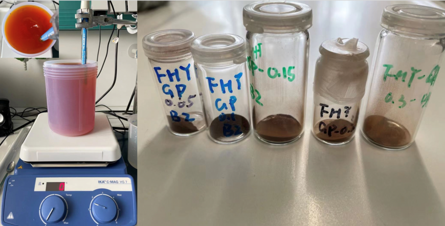 During the first six months, I completed the first draft of the literature review and started co-precipitation experiments with different concentrations of organophosphorus and ferrihydrite, completing the adsorption of ferrihydrite on organophosphorus. The structural properties of the samples were characterized using XRD and IR. The surface area of the samples was determined by BET and so far, it appears that the surface area decreases with increasing organic concentrations.