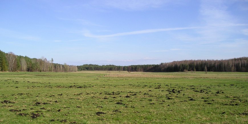 Paleolake Trzechowskie (Polen)