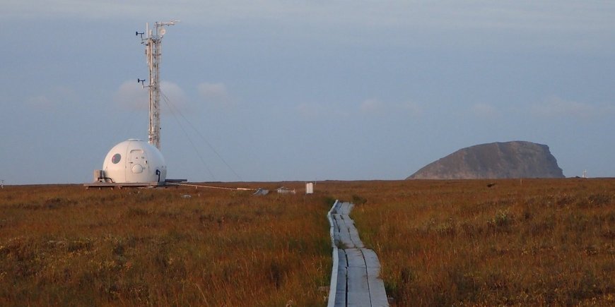On the left, a measuring tower in a low overgrown tundra landscape.