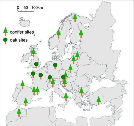 Map of Europe with tree symbols at the locations where tree samples were taken for analysis.