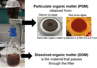 Particulate organic matter vs. dissolved organic matter