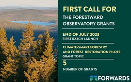 First Call For the Forestward oberservatory Grants