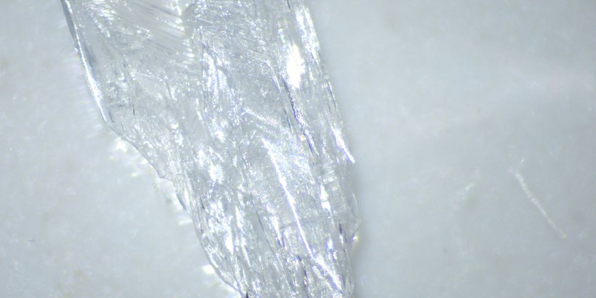 Verzwillingter Struvitkristall unter einem Auflichtmikroskop vor der Umwandlung