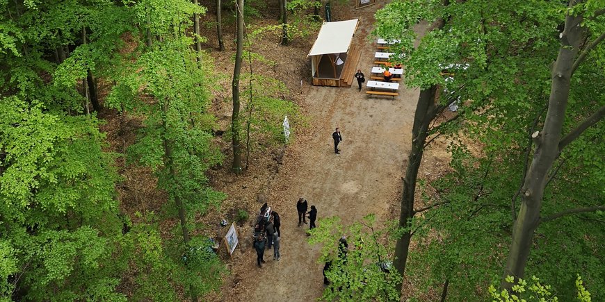 View from the crane: you can see the small wooden stage and people on the forest road