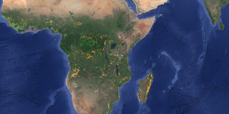 Ausschnitt der Weltkarte mit Fokus auf Afrika. Viele bunte Punkte markieren Ort und Art der verschiedenen Landnutzungsformen nach Entwaldung.