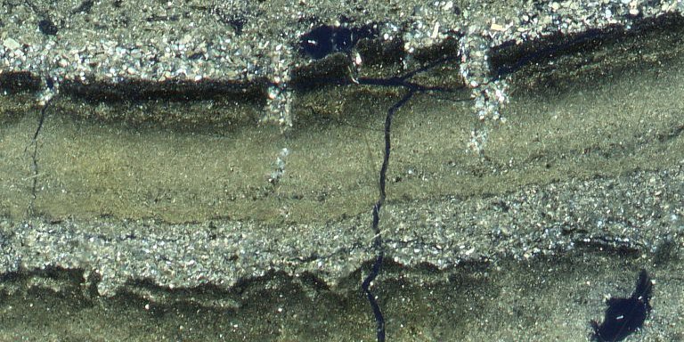 Dünnschliff-Photo (unter gekreuzten Nicols) laminierter Sedimente aus dem Sary-Chelek Nordbecken.