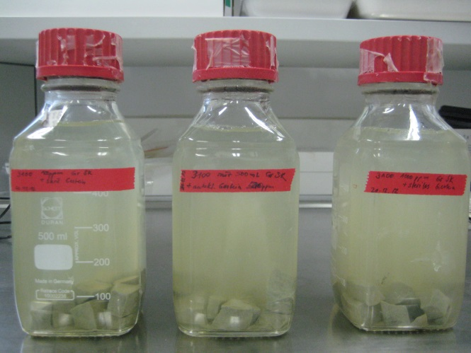 Laboratory experiment on microbiological decomposition of an inhibitor